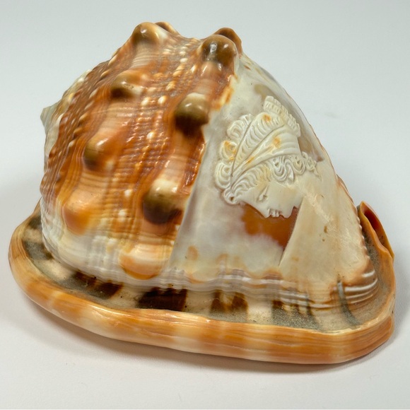 Vintage Hand Carved Cameo Victorian Left Facing Natural Large Conch Shell - Picture 4 of 10